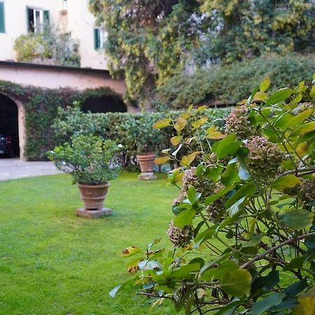 Loft Moderno Ubicato Nel Centro Storico Di Lucca Lejlighed Eksteriør billede