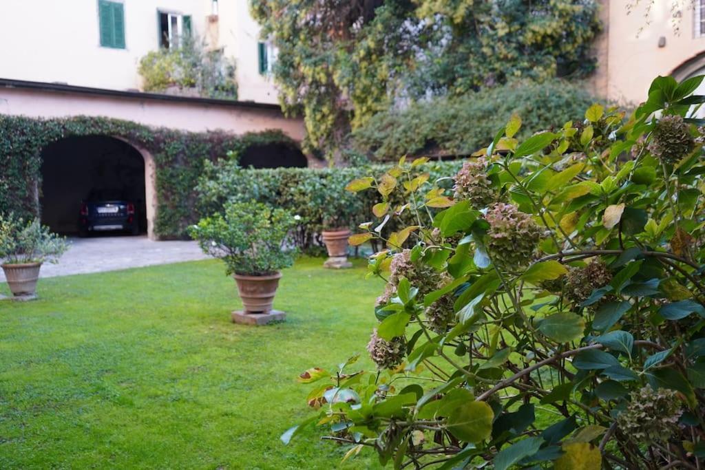 Loft Moderno Ubicato Nel Centro Storico Di Lucca Lejlighed Eksteriør billede